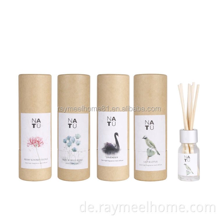 Mini 10 ml Glasflasche Home Duft Reed Diffusor Geschenk